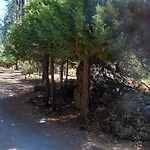 Sunny Pines Cottage